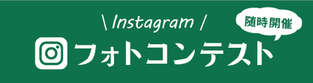 フォトコンテスト